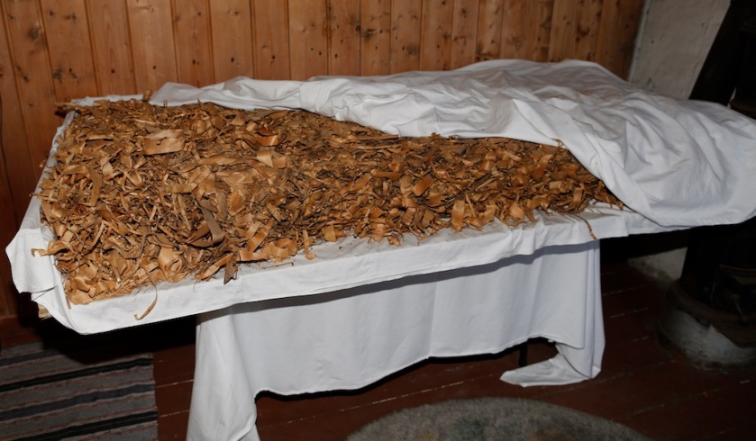 Høvelspon som vart funne brukt som isolasjon i ei attsnikra døropning på Prestegårdslåna på Melhus. Foto: Roald Renmælmo